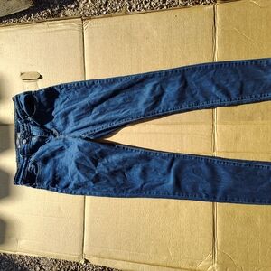 Levi's Blue Skinny Jeans for Women